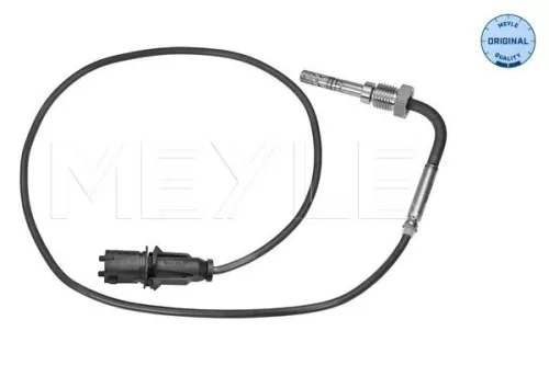 Sensor, exhaust gas temperature
