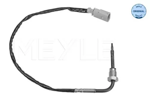 Sensor, exhaust gas temperature