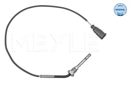Sensor, exhaust gas temperature