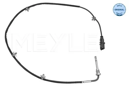 Sensor, exhaust gas temperature