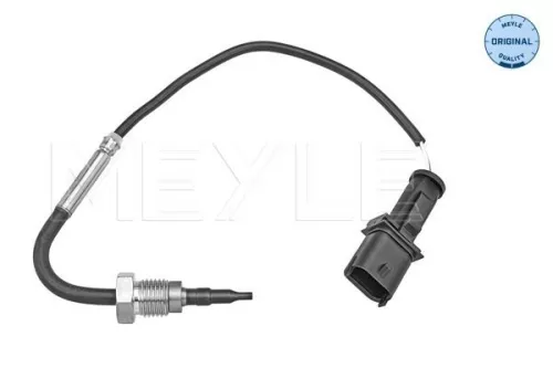 Sensor, exhaust gas temperature