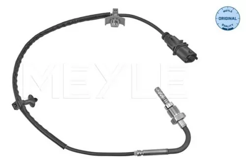 Sensor, exhaust gas temperature