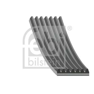V-ribbed Belt