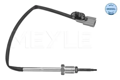 Sensor, exhaust gas temperature