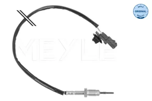 Sensor, exhaust gas temperature