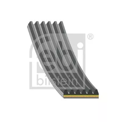 V-ribbed Belt