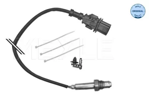Oxygen Sensor