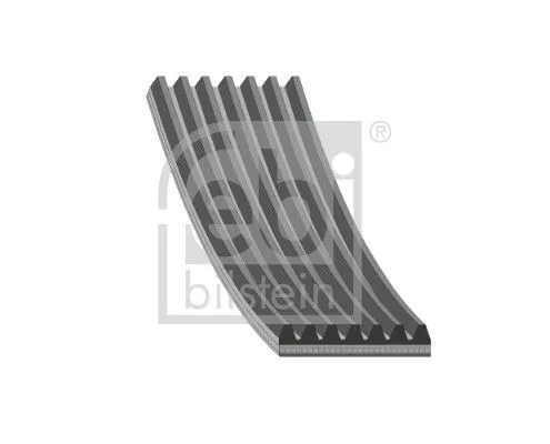 FEBI BILSTEIN FEBI BILSTEIN 184864 V-ribbed Belt 