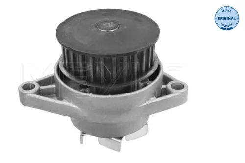 MEYLE Water Pump, engine cooling (113 012 0024)