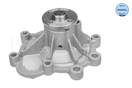 MEYLE Water Pump, engine cooling (013 220 0023)