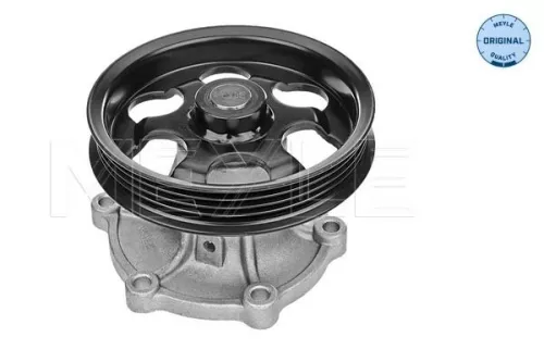 MEYLE Water Pump, engine cooling (30-13 161 0010)