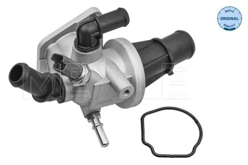 Thermostat, coolant