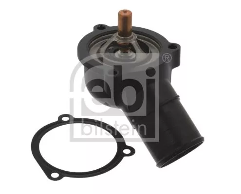 Thermostat, coolant
