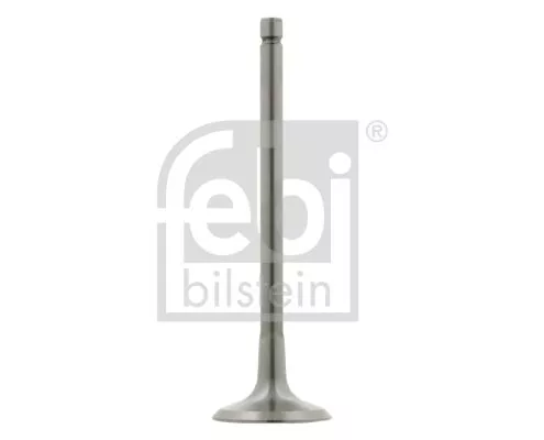 Intake Valve