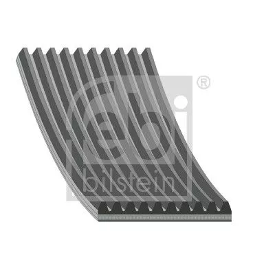 V-ribbed Belt