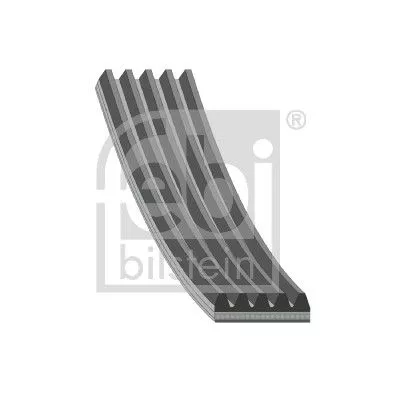 V-ribbed Belt