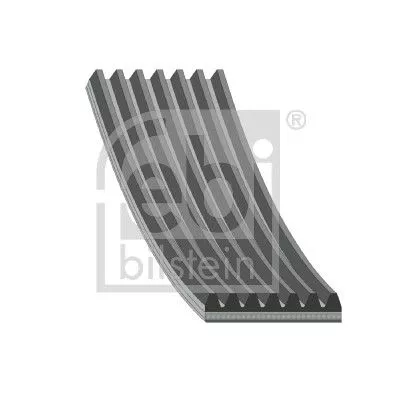 V-ribbed Belt