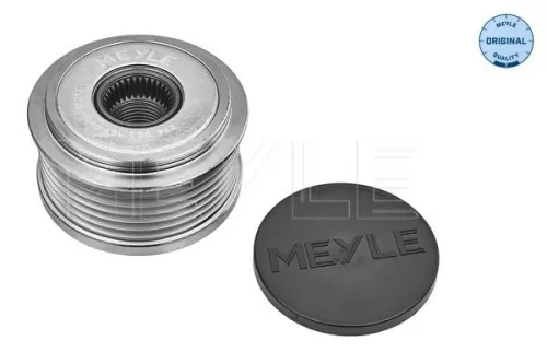 Alternator Freewheel Clutch