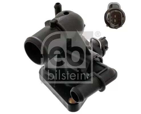 Thermostat, coolant