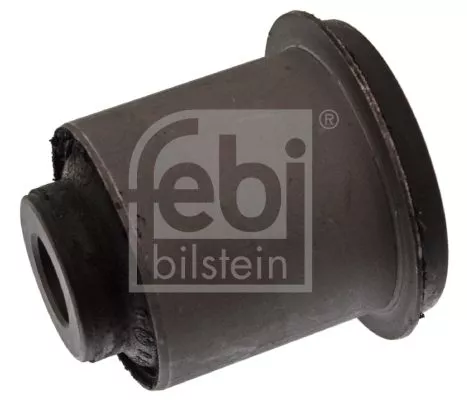 Mounting, control/trailing arm