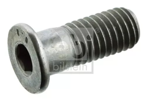 FEBI BILSTEIN FEBI BILSTEIN 01893 Bolt, brake disc 