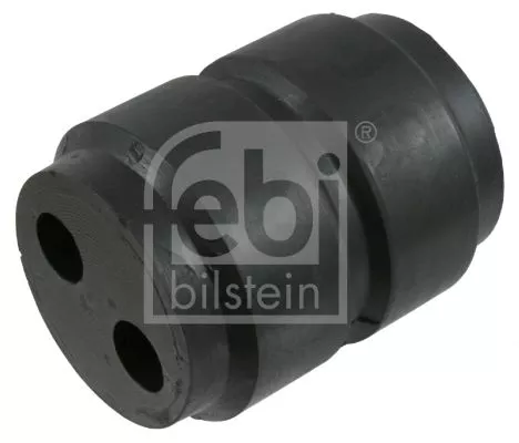 Bushing, leaf spring