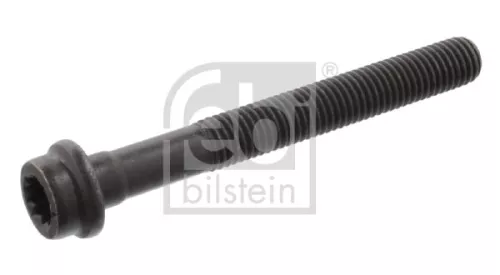 Cylinder Head Bolt