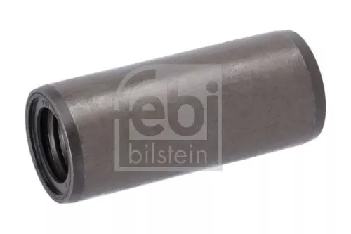 Bushing, leaf spring