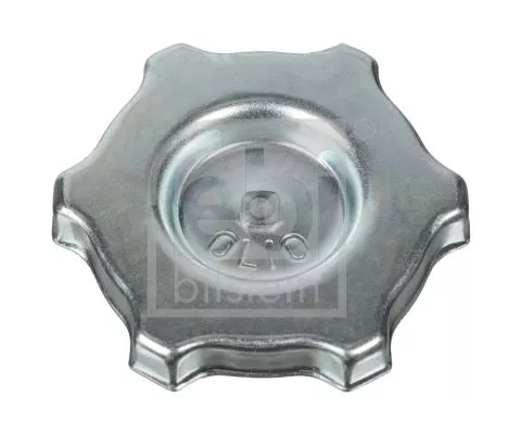 Sealing Cap, oil filler neck