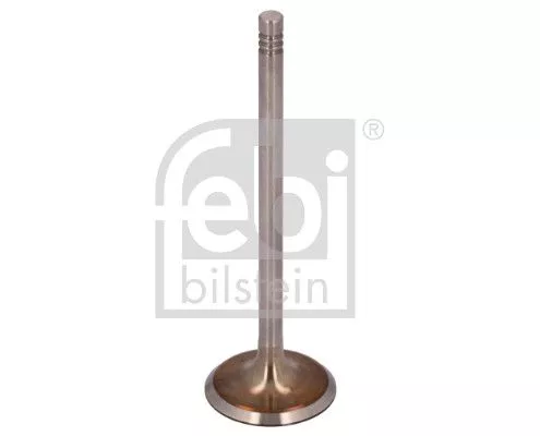 FEBI BILSTEIN FEBI BILSTEIN 12823 Intake Valve 