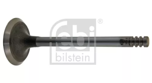 Intake Valve