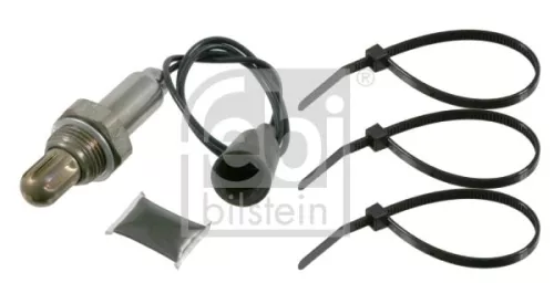 Oxygen Sensor