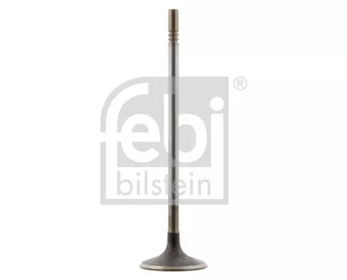 Intake Valve