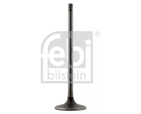 Intake Valve