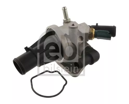 Thermostat, coolant