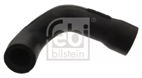Hose, crankcase ventilation