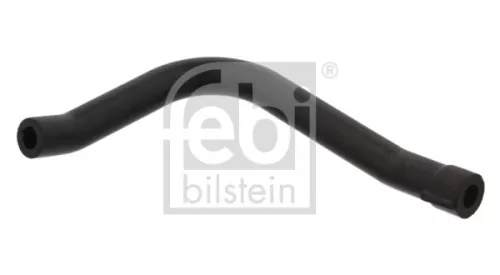 Hose, crankcase ventilation