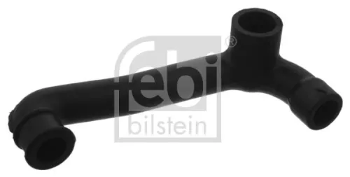 Hose, crankcase ventilation