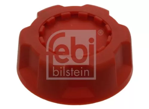 Sealing Cap, oil filler neck