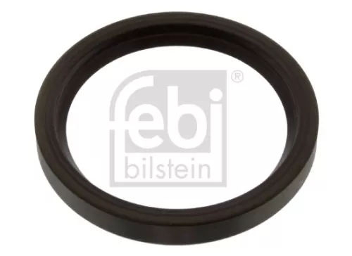 Shaft Seal, differential