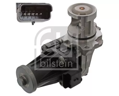 EGR Valve
