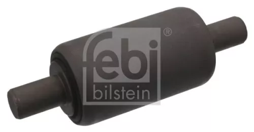Bushing, leaf spring