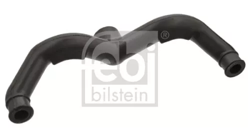 Hose, crankcase ventilation