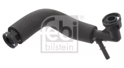 Hose, crankcase ventilation