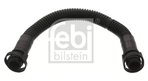 Hose, crankcase ventilation