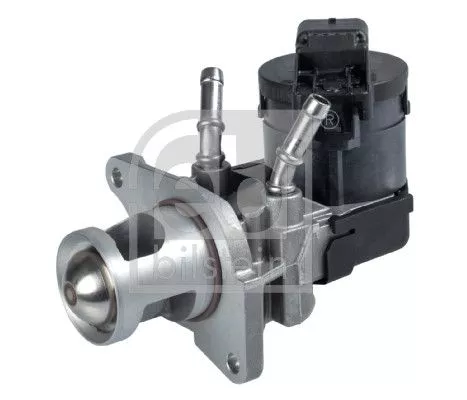 EGR Valve