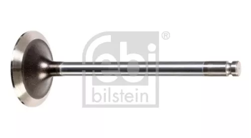 Intake Valve