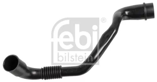 Hose, crankcase ventilation