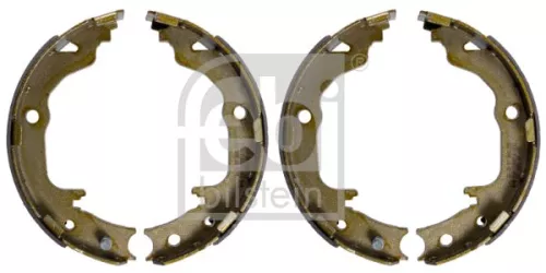 FEBI BILSTEIN FEBI BILSTEIN 171039 Brake Shoe Set, parking brake 