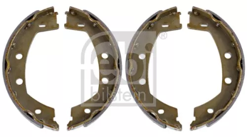 FEBI BILSTEIN FEBI BILSTEIN 171068 Brake Shoe Set, parking brake 